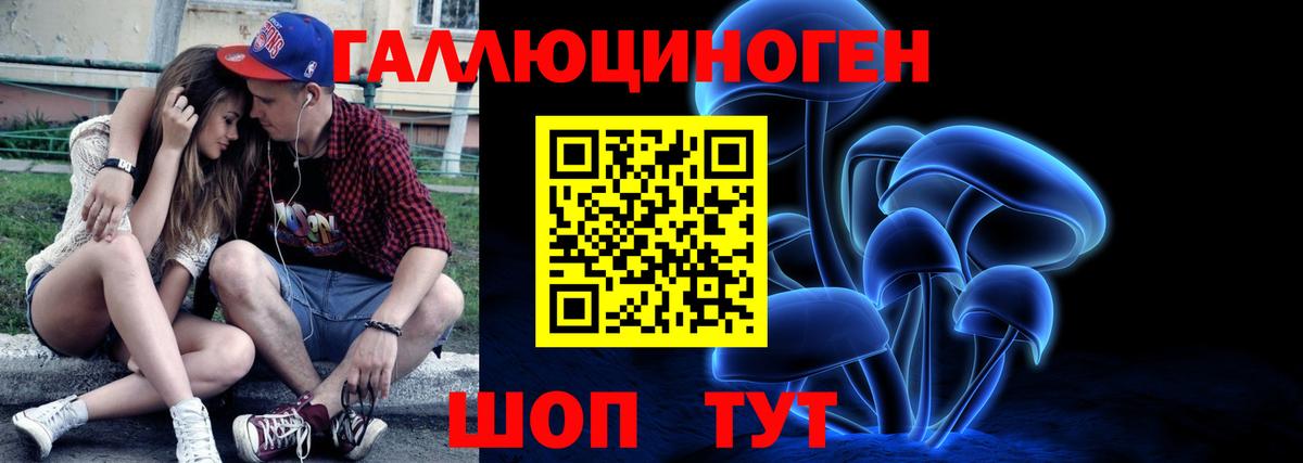 Бердск  Галлюциногенные грибы прущие грибы  Вход с VPN  Галлюциногенные грибы ЛСД 